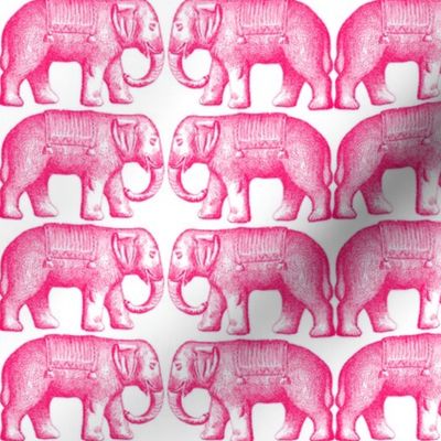 The Pink Elephant