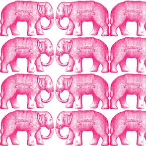 The Pink Elephant