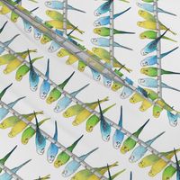 Rows of Colourful Budgies - medium scale