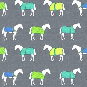 Horse Rugs of a Different Color
