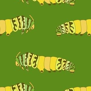 caterpillars