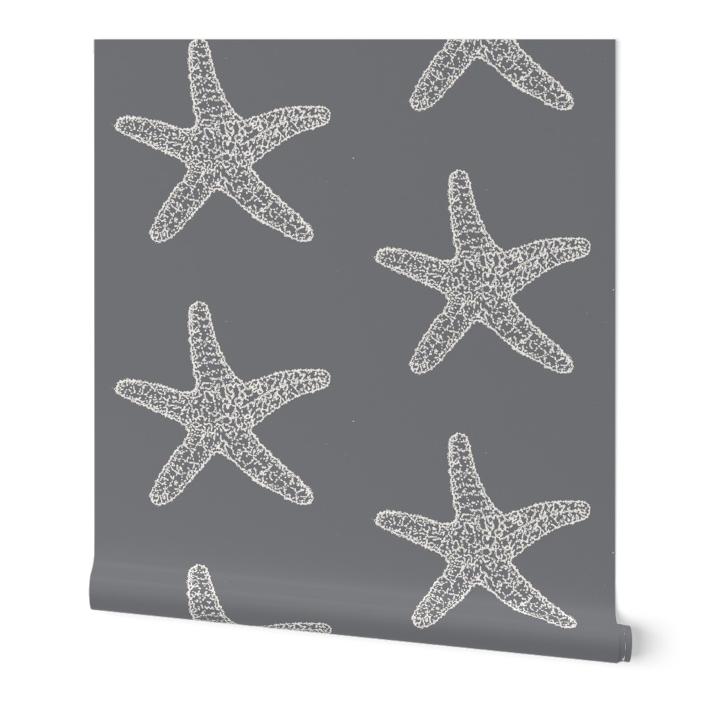 Seastar, white on grey 