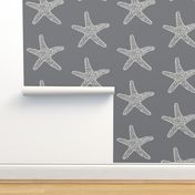 Seastar, white on grey 