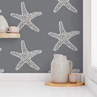 Seastar, white on grey 