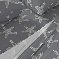 Seastar, white on grey 