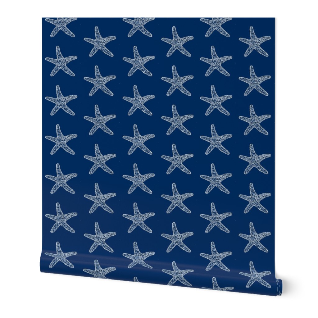 SeaStar on Navy