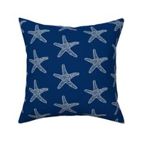 SeaStar on Navy