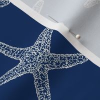 SeaStar on Navy