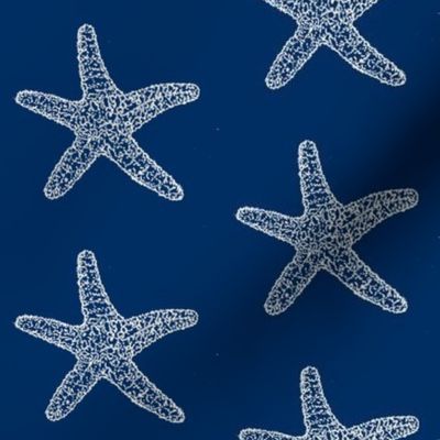 SeaStar on Navy