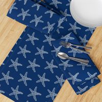 SeaStar on Navy