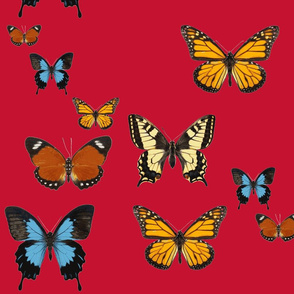 Butterflies on Red