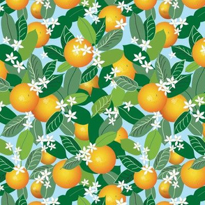 Citrus Abundance 2