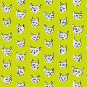 Gritty Kitties | Green