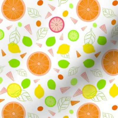 Citrus Slices Illustrator Version