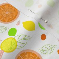 Citrus Slices Illustrator Version