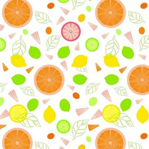 Citrus Slices Illustrator Version