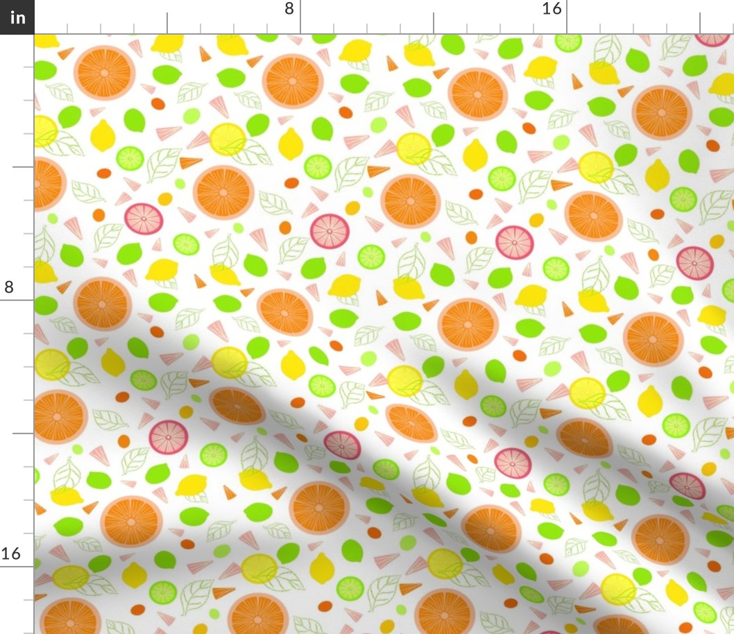 Citrus Slices Illustrator Version