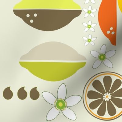 Citrus Fruits deco