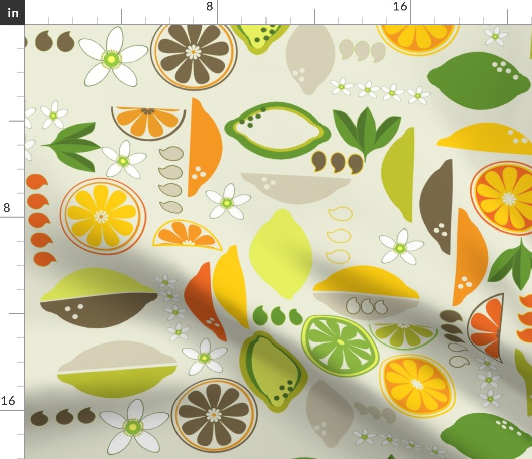 Citrus Fruits deco