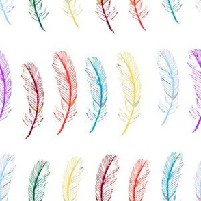 Colorful Feather