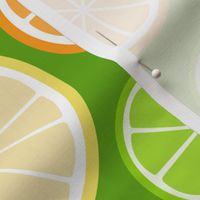 citrus slices - on green