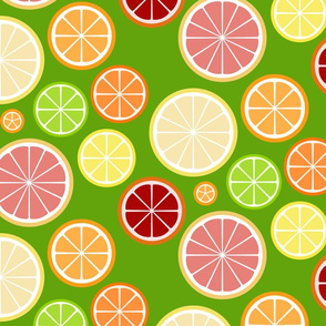 citrus slices - on green