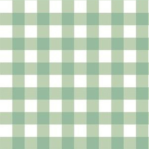 Aqua_Gingham