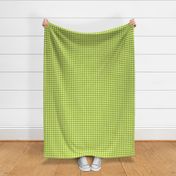 Chartreuse_Gingham