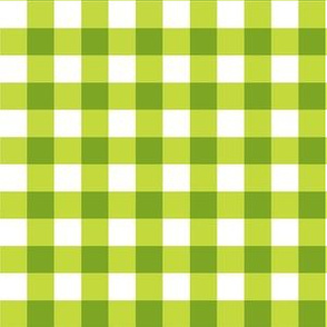 Chartreuse_Gingham