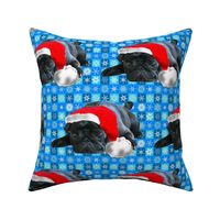 Black Pug in Santa Hat fabric