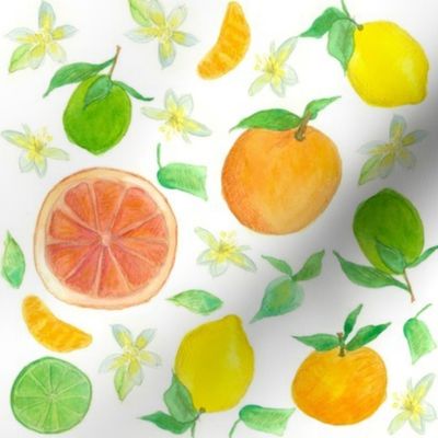 Citrus Fruits