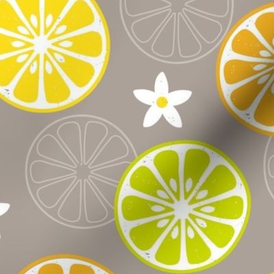 Orange, Orange, Lemon, Lime