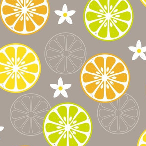 Orange, Orange, Lemon, Lime