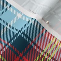 02185582 : tartan : spoonflower0188