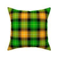 02185583 : tartan : irish