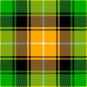 02185583 : tartan : irish