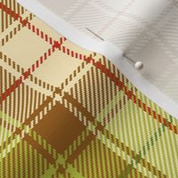 02185585 : tartan : pale synergy0002