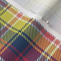 02187206 : tartan : spoonflower0166