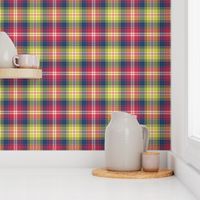 02187206 : tartan : spoonflower0166