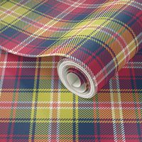 02187206 : tartan : spoonflower0166