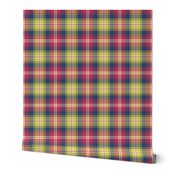 02187206 : tartan : spoonflower0166