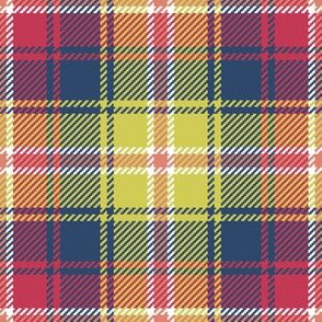 02187206 : tartan : spoonflower0166