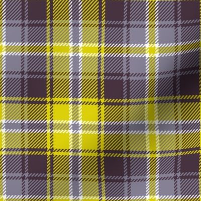 02187291 : tartan : spoonflower0197