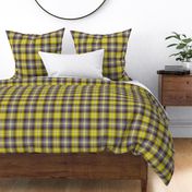 02187291 : tartan : spoonflower0197