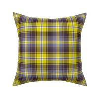 02187291 : tartan : spoonflower0197