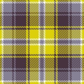 02187291 : tartan : spoonflower0197