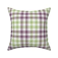 02187351 : tartan : spoonflower0142