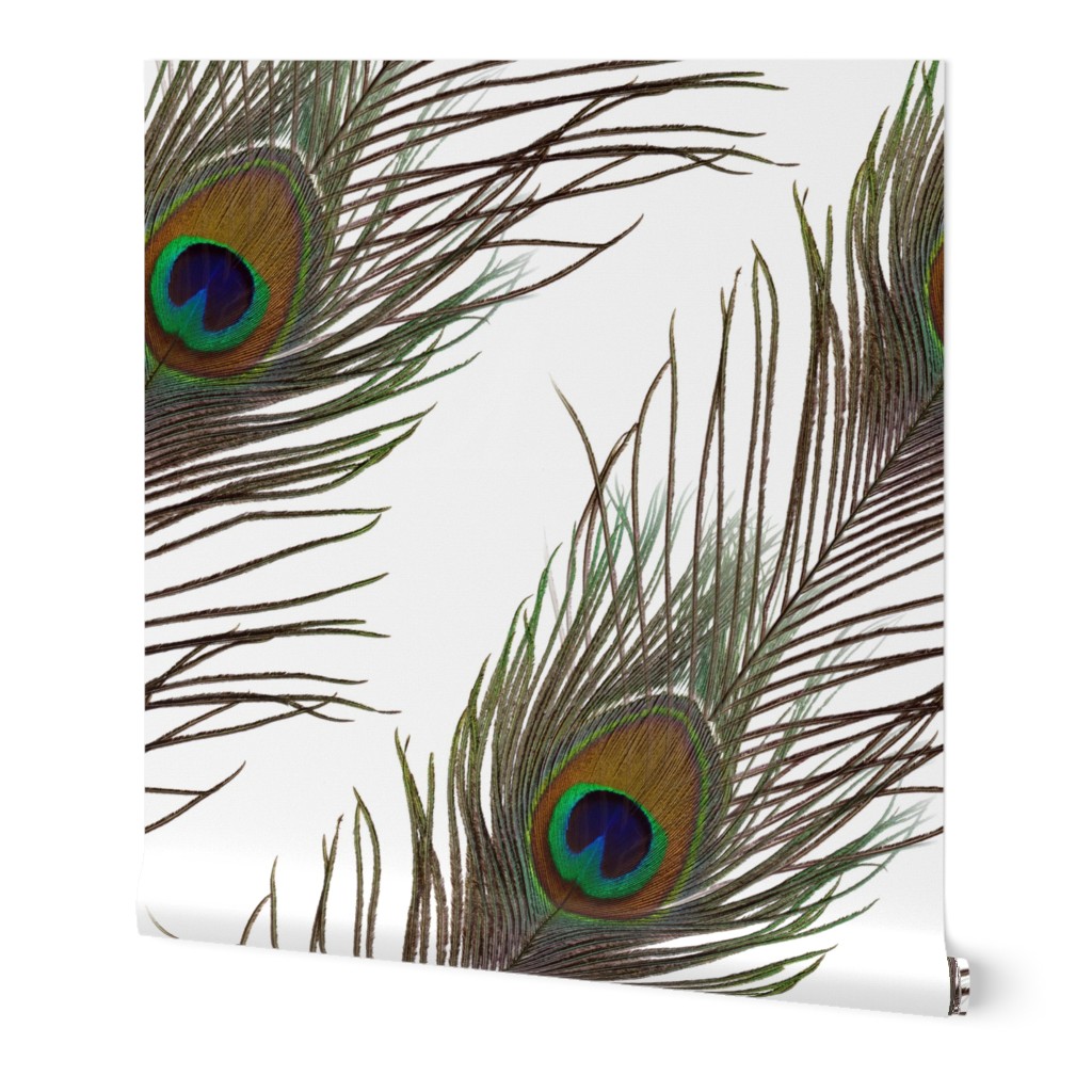 Peacock Stripe on White