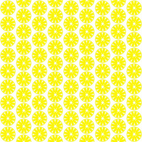 CITRUS_SIMPLE-YELLOW