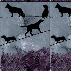 Dogs On A Wire